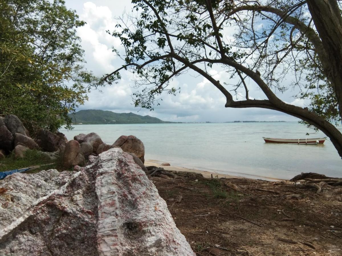 Latansa Inn การีมุนยาวา ภายนอก รูปภาพ